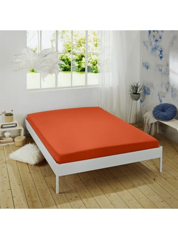 REDBEST Single-Jersey Spannbettlaken Denver in terra