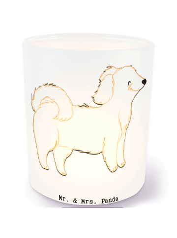 Mr. & Mrs. Panda Deko Windlicht Havaneser Lebensretter ohne Spruch in Transparent