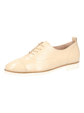 Paul Green Sneaker in Beige