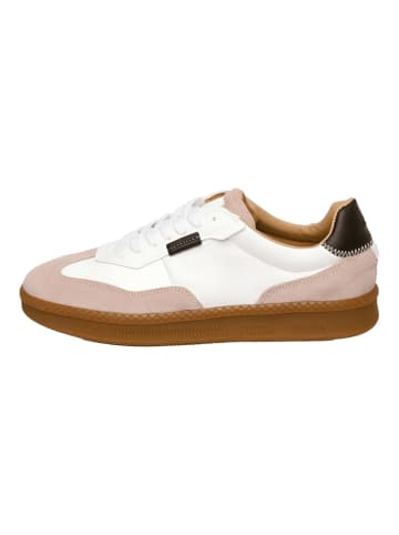 Steve Madden Sneaker in Weiß/Schwarz