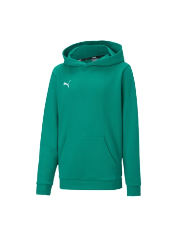 Puma Sweatshirt teamGOAL 23 Casuals Hoody Jr in grün