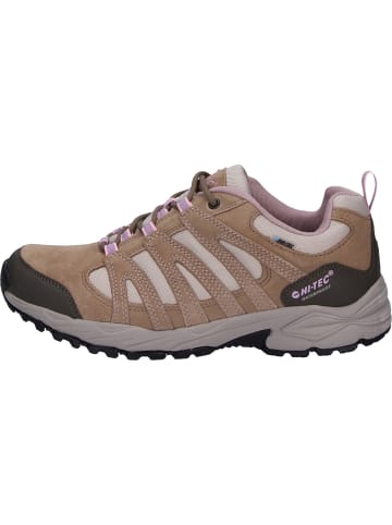 Hi-Tec Wanderschuhe Alto 2 Low in braun in braun