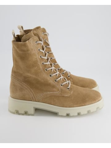 Paul Green Schnürstiefeletten in Beige