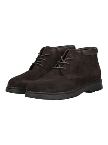 Geox Stiefelette in Dunkelbraun