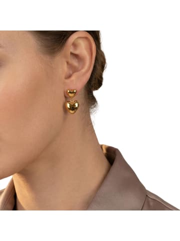 Amor Ohrhänger Edelstahl, IP gold in gold