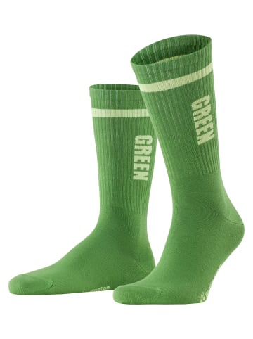 Burlington Colour Flash Herren Socken in Military