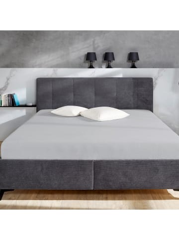 Primera Biber Spannbettlaken in granit