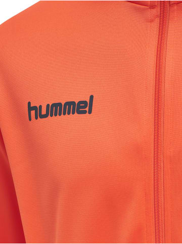 Hummel Trainingsanzug Hmlpromo Poly Suit in NASTURTIUM/OMBRE BLUE