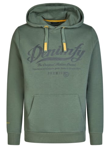 DENIMFY Pullover DFArno in Grün