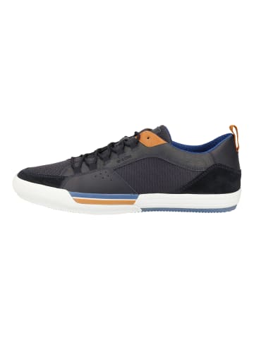 Geox Sneaker in Blau