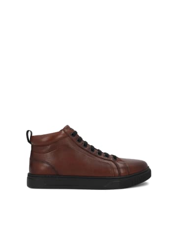Kazar Sneaker Low in Braun
