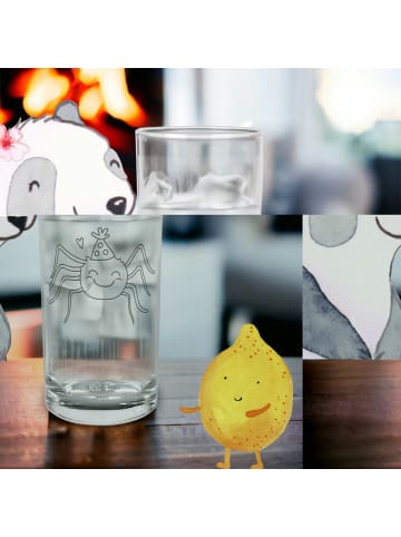 Mr. & Mrs. Panda Glas Spinne Agathe Party ohne Spruch in Transparent