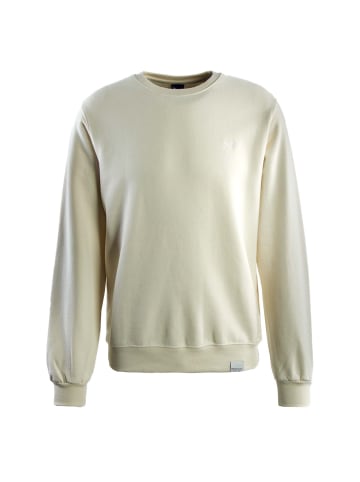 iriedaily Sweatshirt in Beige