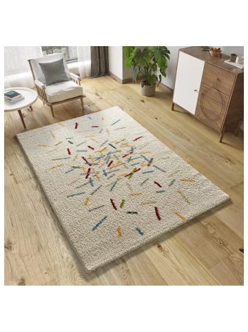 Atticgo Hochflor-Teppich BREMEN in mehrfarbig