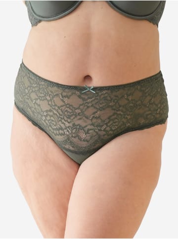SugarShape High-String BASIC in olive