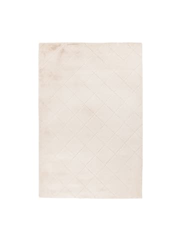 payé Teppich Hochflor Moment