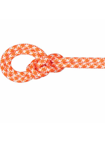Mammut Seil 9.5 Crag Classic Rope in Orange
