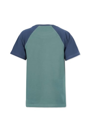 Band of Rascals T-Shirt " Raglan " in sage-blue