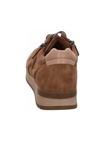 Gabor Sneakers in beige