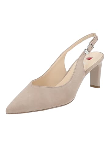 Högl Pumps in Taupe