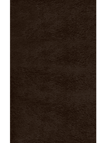 the carpet Kurzflorteppich Relax in Braun