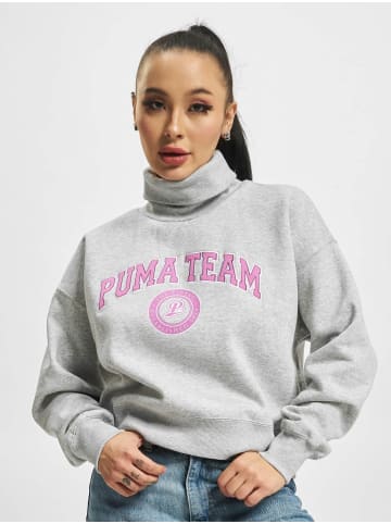 Puma Puma Hoodie in grey