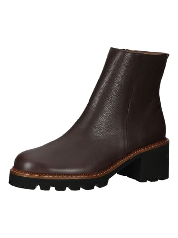 Paul Green Stiefelette in Moro