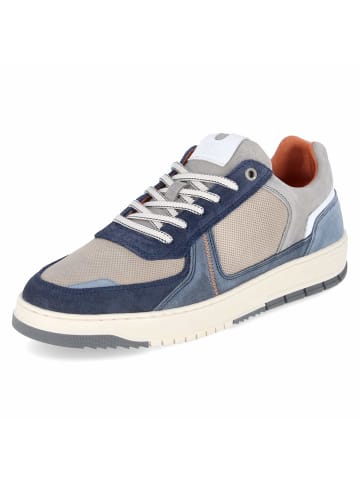 Bullboxer Low Sneaker in blau