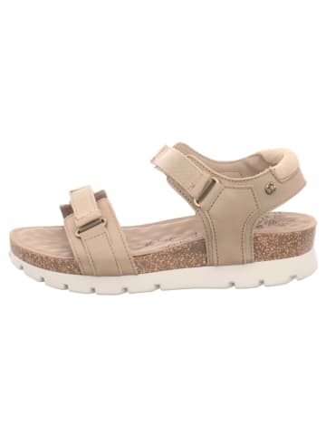 PANAMA JACK Damensandalette sportlich flach  in  Beige