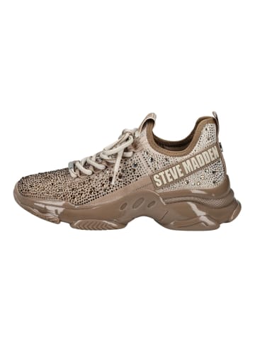 Steve Madden Sneaker Beige/Gold
