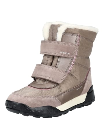 Geox Stiefelette in Dunkelbeige