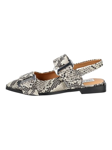 Steve Madden Ballerinas in Hellbeige