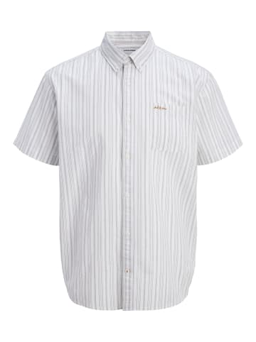 JACK & JONES Junior Hemd in Vetiver