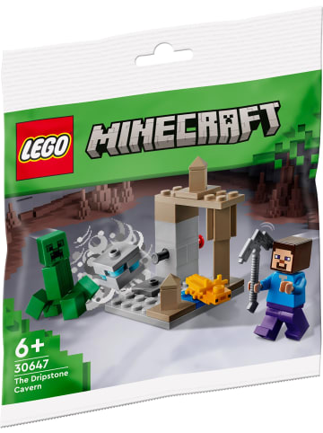 LEGO Minecraft Polybag Die Tropfsteinhöhle 30647 ab 4 Jahren