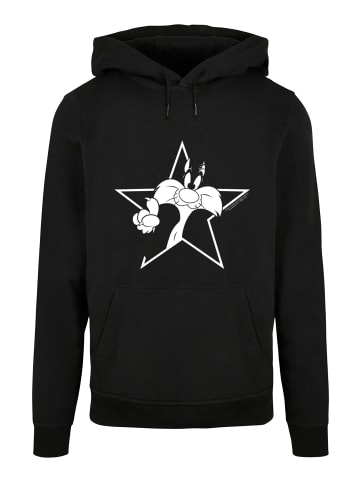 F4NT4STIC F4NT4STIC Crewneck-Sweater in black