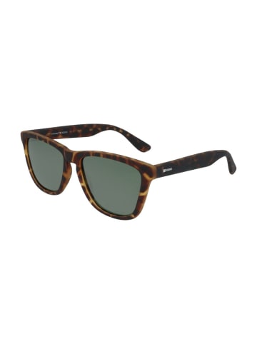 Kodak Sonnenbrille in Brown
