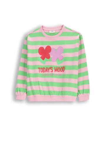 Coccodrillo Langarmshirt in bunt