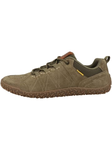 Camel Active Sneaker low 54ILA11 in dunkelgruen