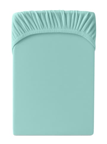 Cats Collection Spannbetttuch Edel-Jersey in aqua
