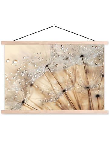 MuchoWow Poster mit Leiste Tropfen  (BxH)