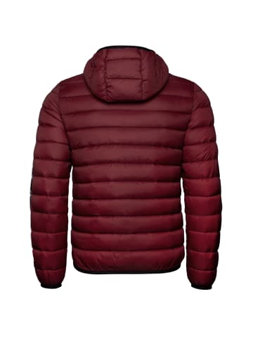 Champion Winterjacke Hooded in rot