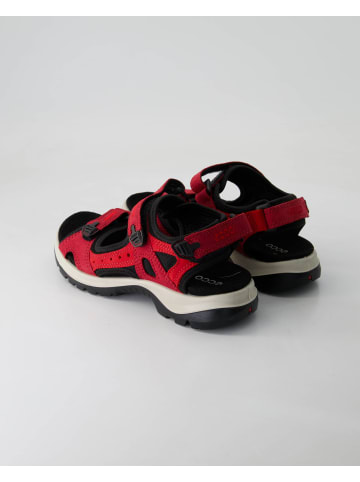 Ecco Sandalen in Rot