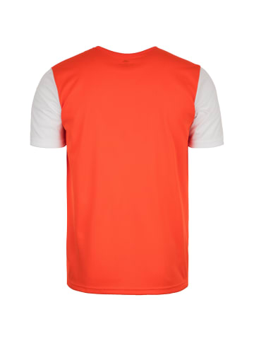 adidas Performance Fußballtrikot Estro 19 in orange / weiß