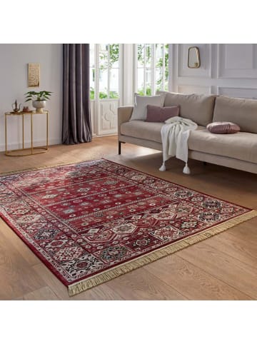 Tara Carpet Palazzo-Royal-Teppich Shal Allover in Rot