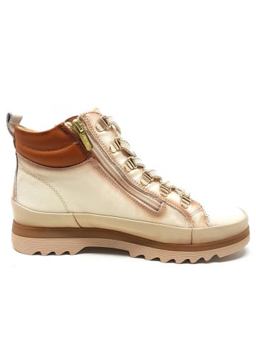 Pikolinos Schnürstiefel Vigo in Beige