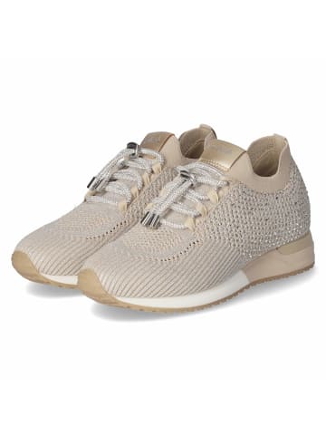 La Strada Schnürhalbschuh in beige