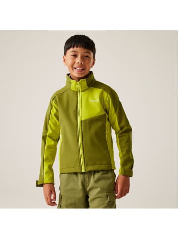 Regatta Acidity VIII Übergangsjacke mit Kapuze in Lime