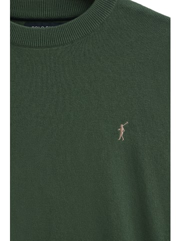 Polo Club Pullover in Warmes Grün