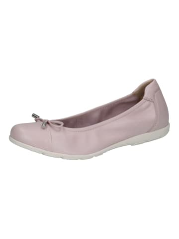 Caprice Ballerinas in Lila