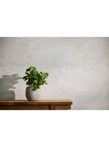 A.S. Création Tapete Tuscan Horizon in Nebelweiß